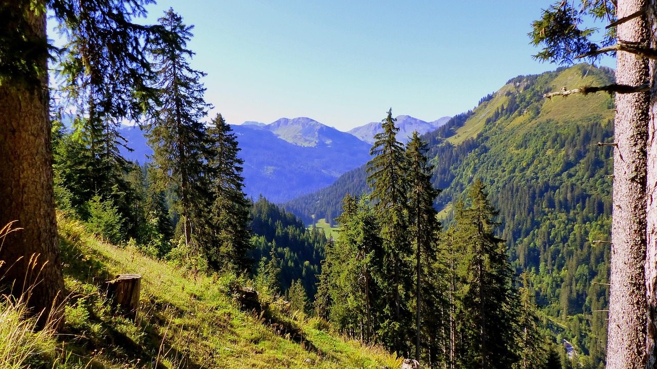 Alpsko jutro z gorsko panoramo in svežo naravo